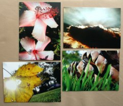 naturaldetails postcardgroup (1)