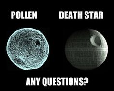 Pollen Death