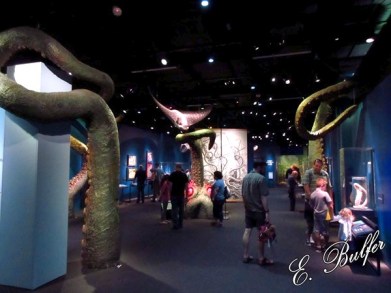 001 kraken at entrance