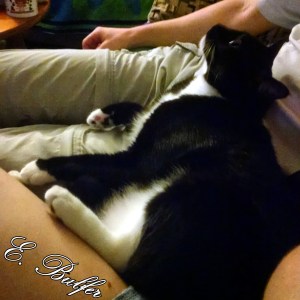 Little Guy decided that we were alright because we played with him