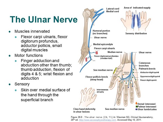 burke-doe20l720slide11