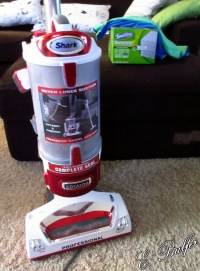 dust allergy cleaning 003