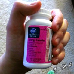 dust allergy cleaning 007