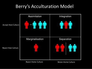 berrys acculturation model