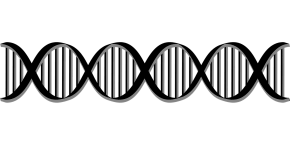 biology-2024773_1280